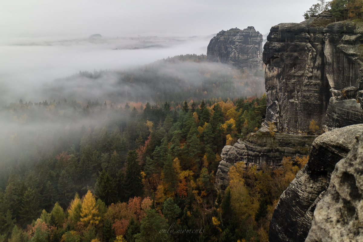 Grauer Herbstmorgen