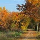 Grauer Herbsttag?