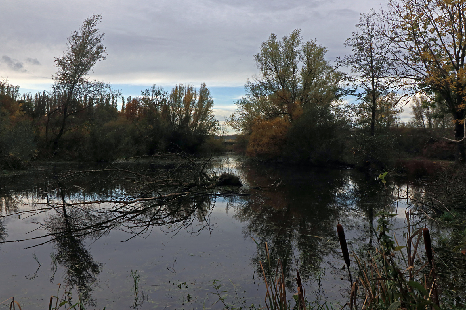 Grauer Herbsttag