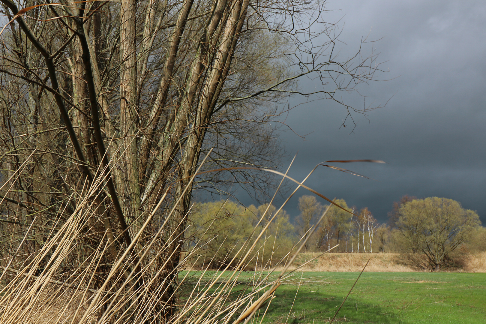 Grauer Himmel über der Okeraue