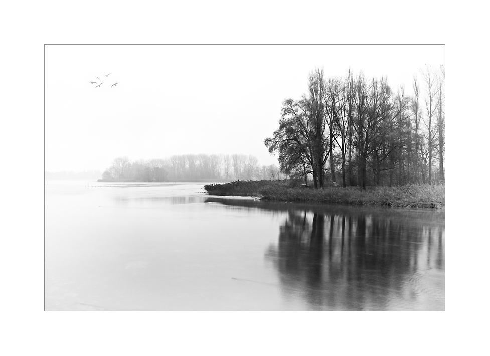 Grauer Morgen am Rhein