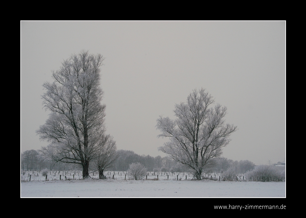 Grauer Morgen in meinem Dorf