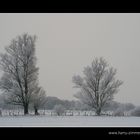 Grauer Morgen in meinem Dorf