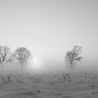 Grauer Nebel