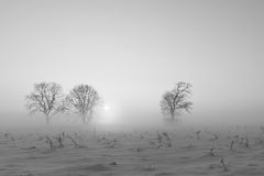 Grauer Nebel