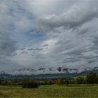 GRAUER OKTOBERTAG