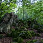 Grauer Stein im Wald