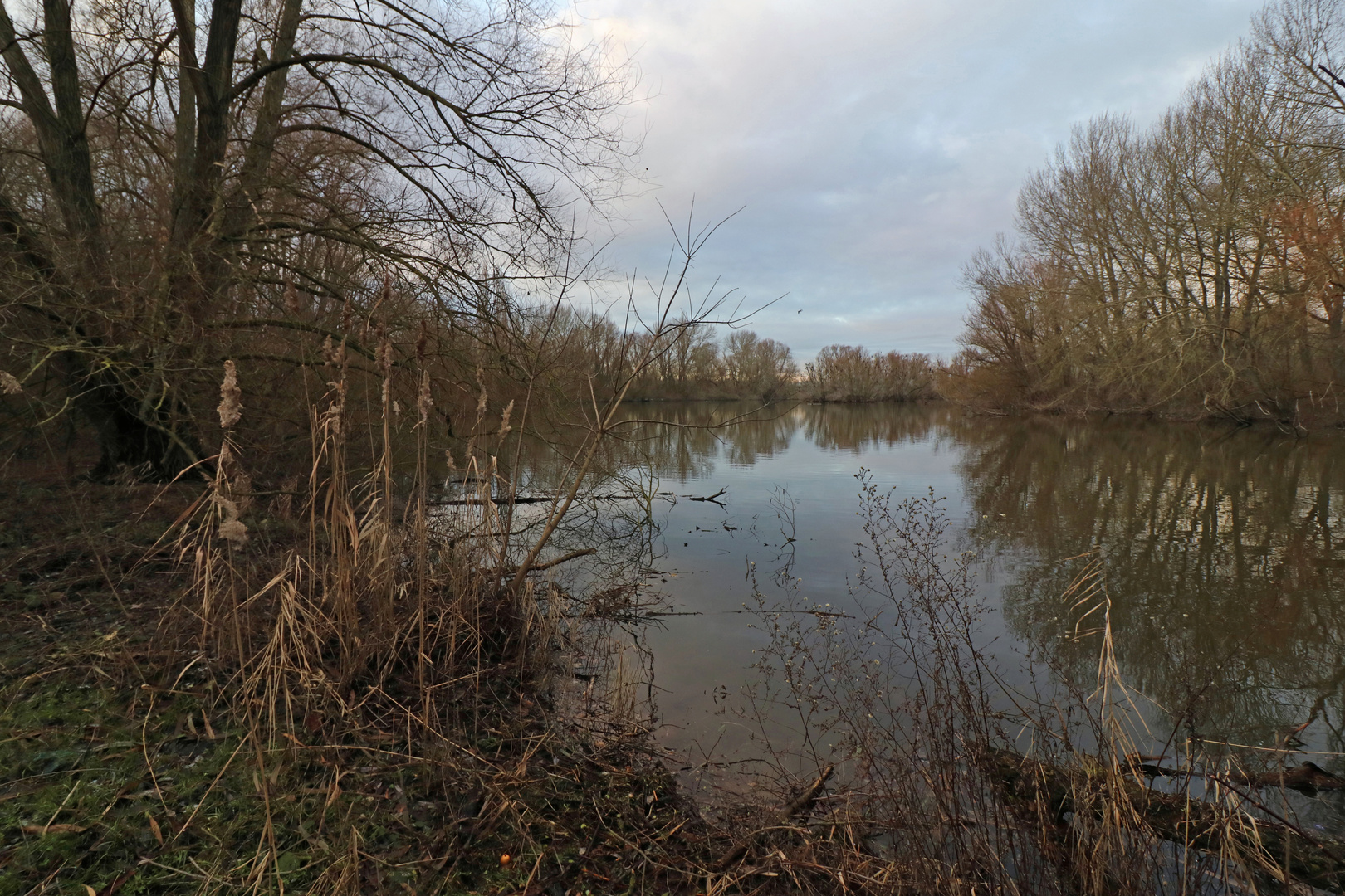 Grauer Tag am See