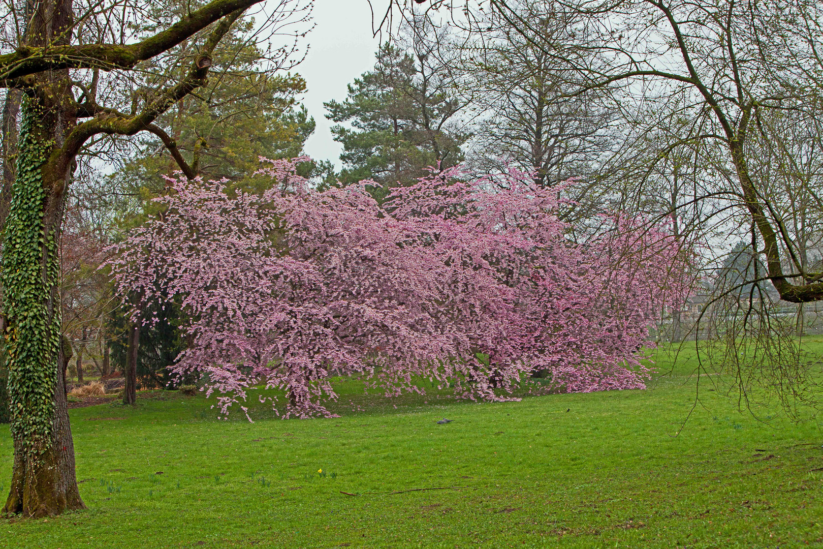 grauer Tag im April