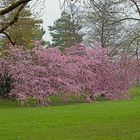 grauer Tag im April