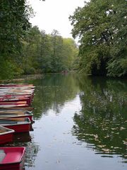 Grauer Tag im Berliner Tiergarten -1-