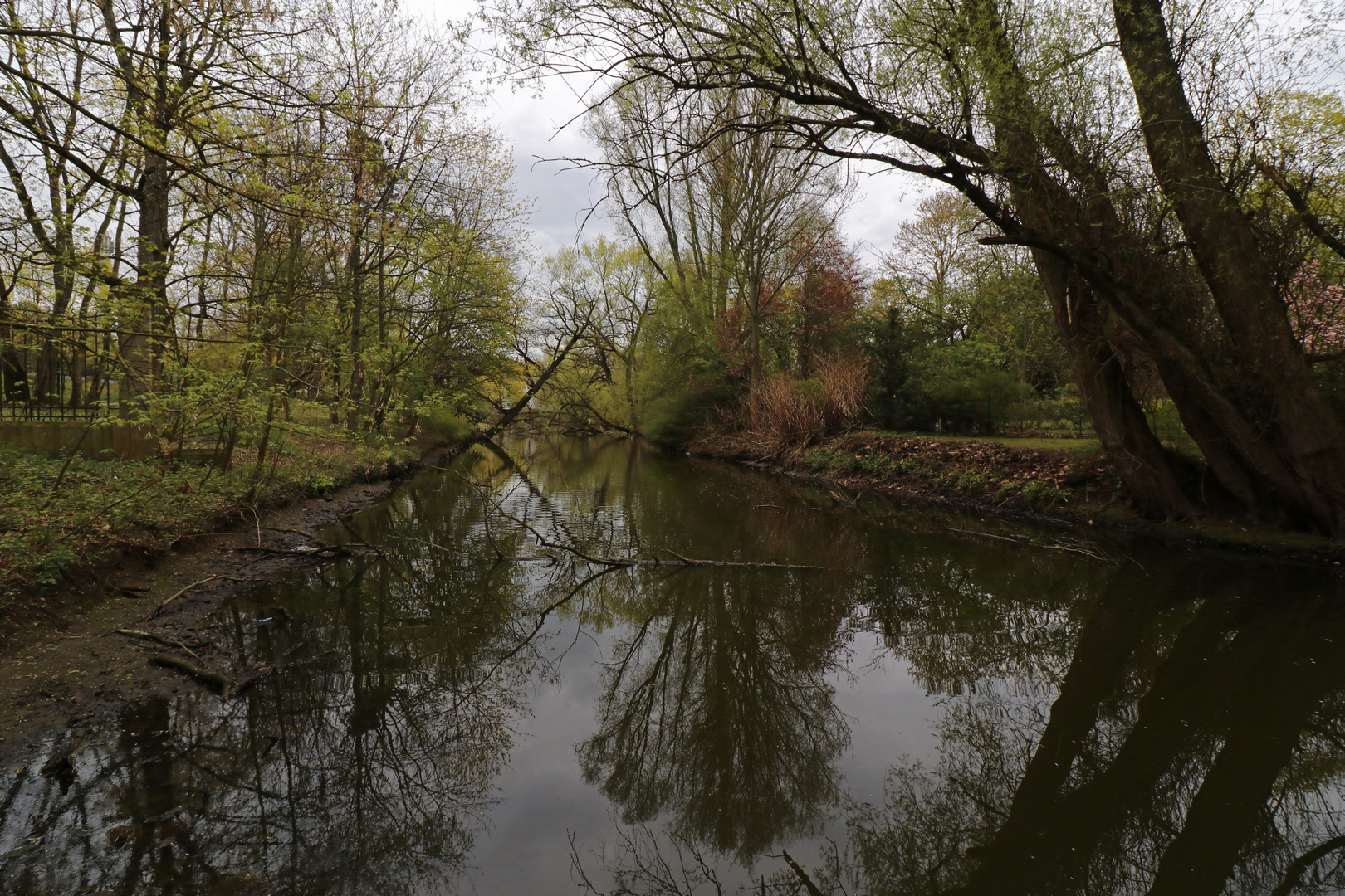 Grauer Tag im Frühling