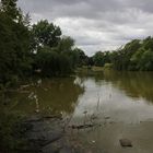 Grauer Tag im Park