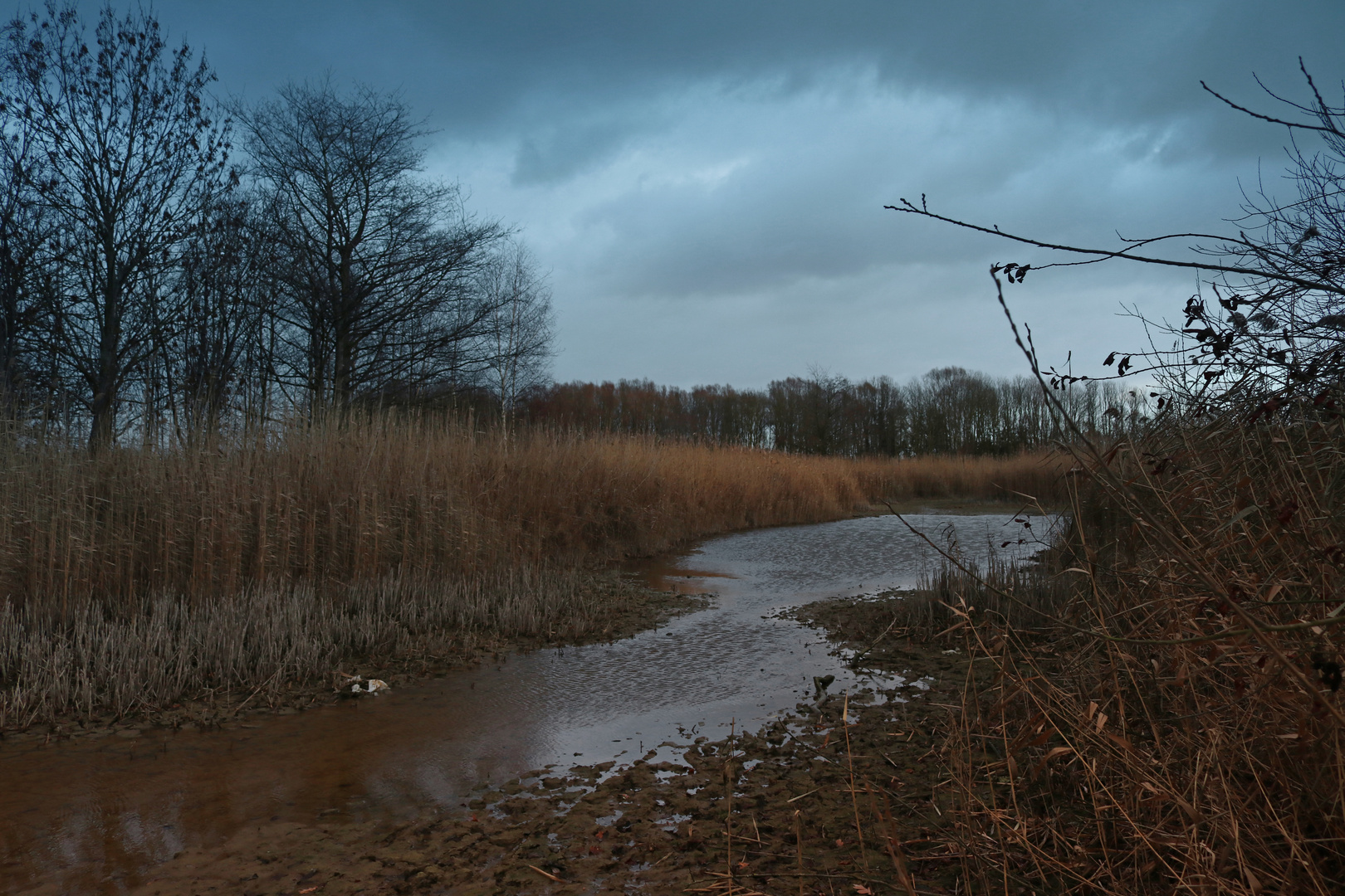 Grauer Tag im Westpark