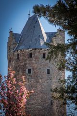 Grauer Turm I - Fritzlar/Nordhessen