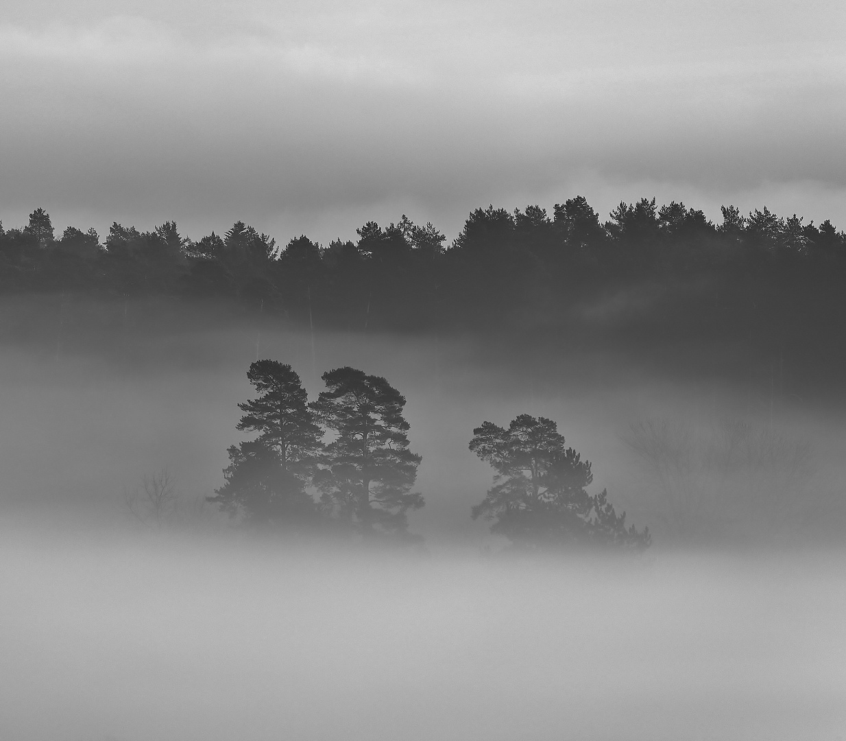 Grauer Winternebel...