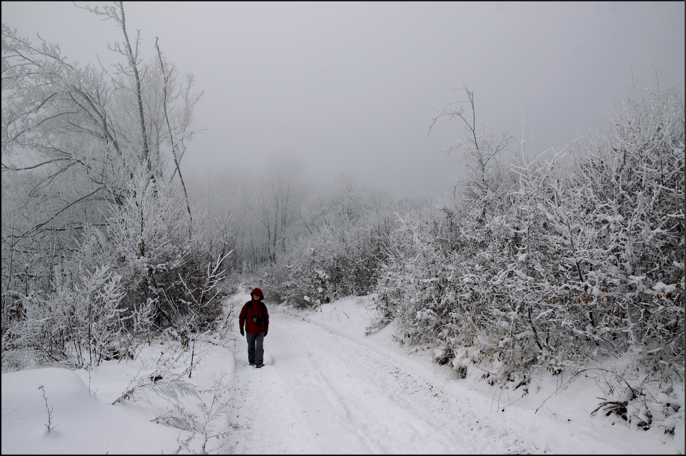 Grauer Wintertag 2