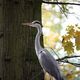 Zoo Duisburg