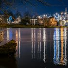 Graureiher am Abend in Dresden