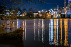 Graureiher am Abend in Dresden