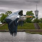 Graureiher am Wasserband Trier