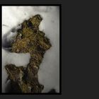Grausiger Fund in der Nordheide: Nach dem Ötzi jetzt der Treldi???