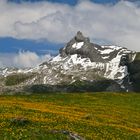 Graustock Melchsee-Frutt, Obwalden