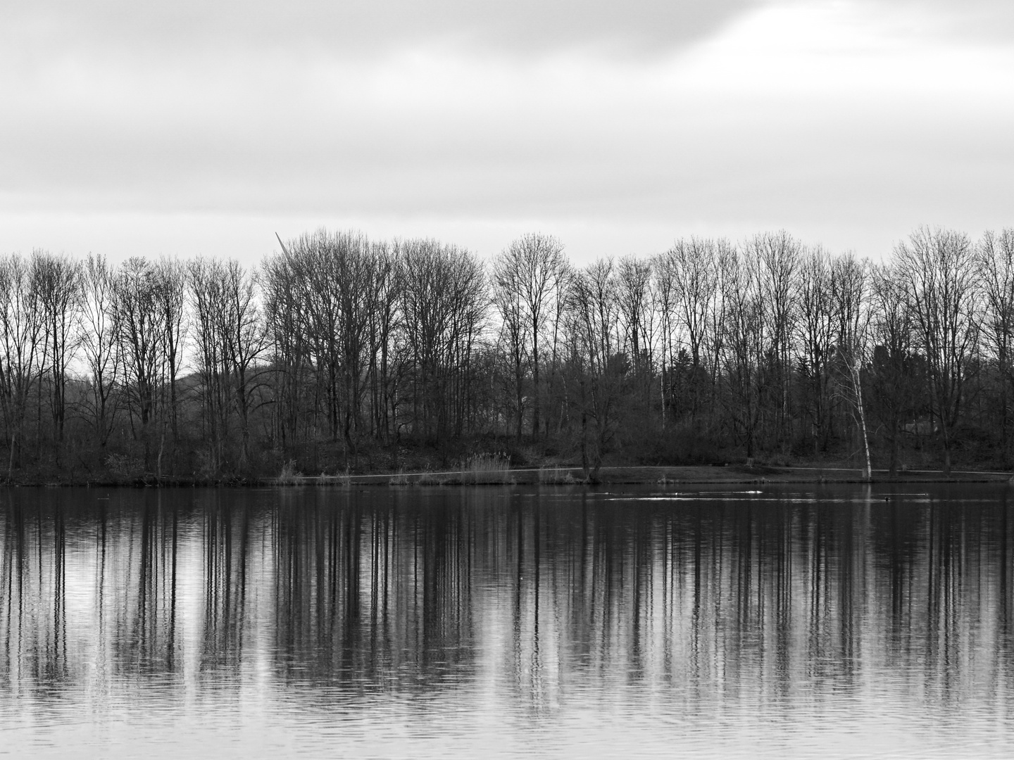 Grauzone zwischen Luft und Wasser...