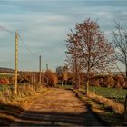 Gravel Road