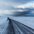 gravel road to nowhere