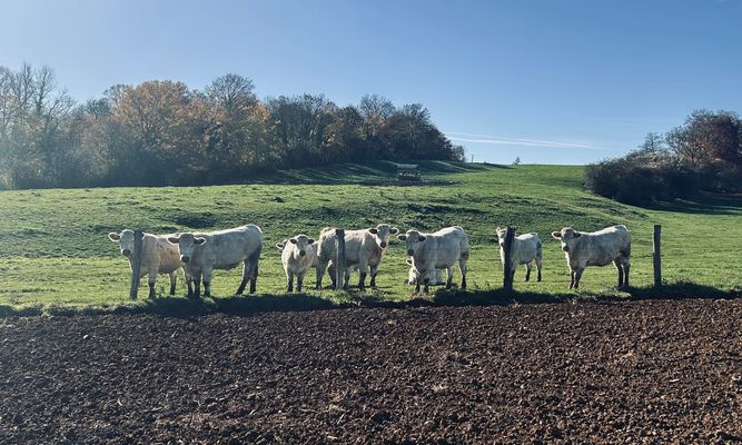 Gravelotte, Lorraine, France
