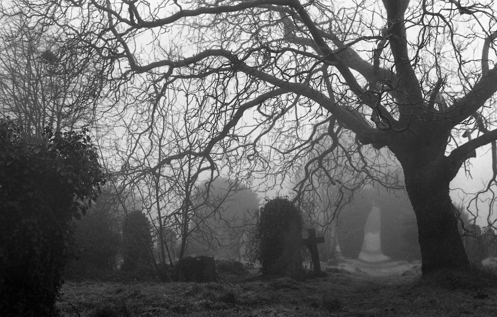 Graves and fog