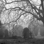 Graves and fog