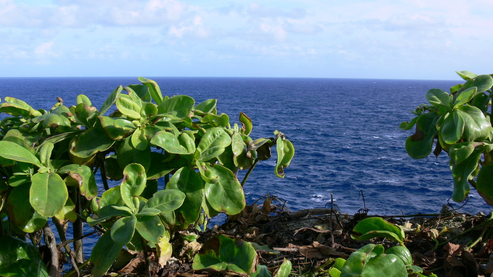 Graveyard; Banzai Cliff, Saipan