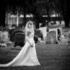 [Graveyard & Bride] SW II