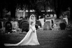 [Graveyard & Bride] SW II