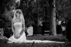 [Graveyard & Bride] SW III