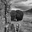 Graveyard -Road to Elgol - Isle of Skye