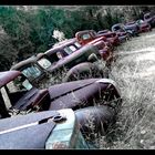 Graveyard South Crawfordville