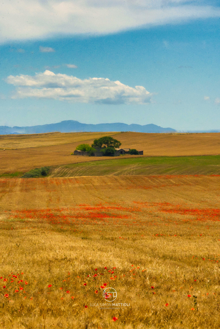 Gravina