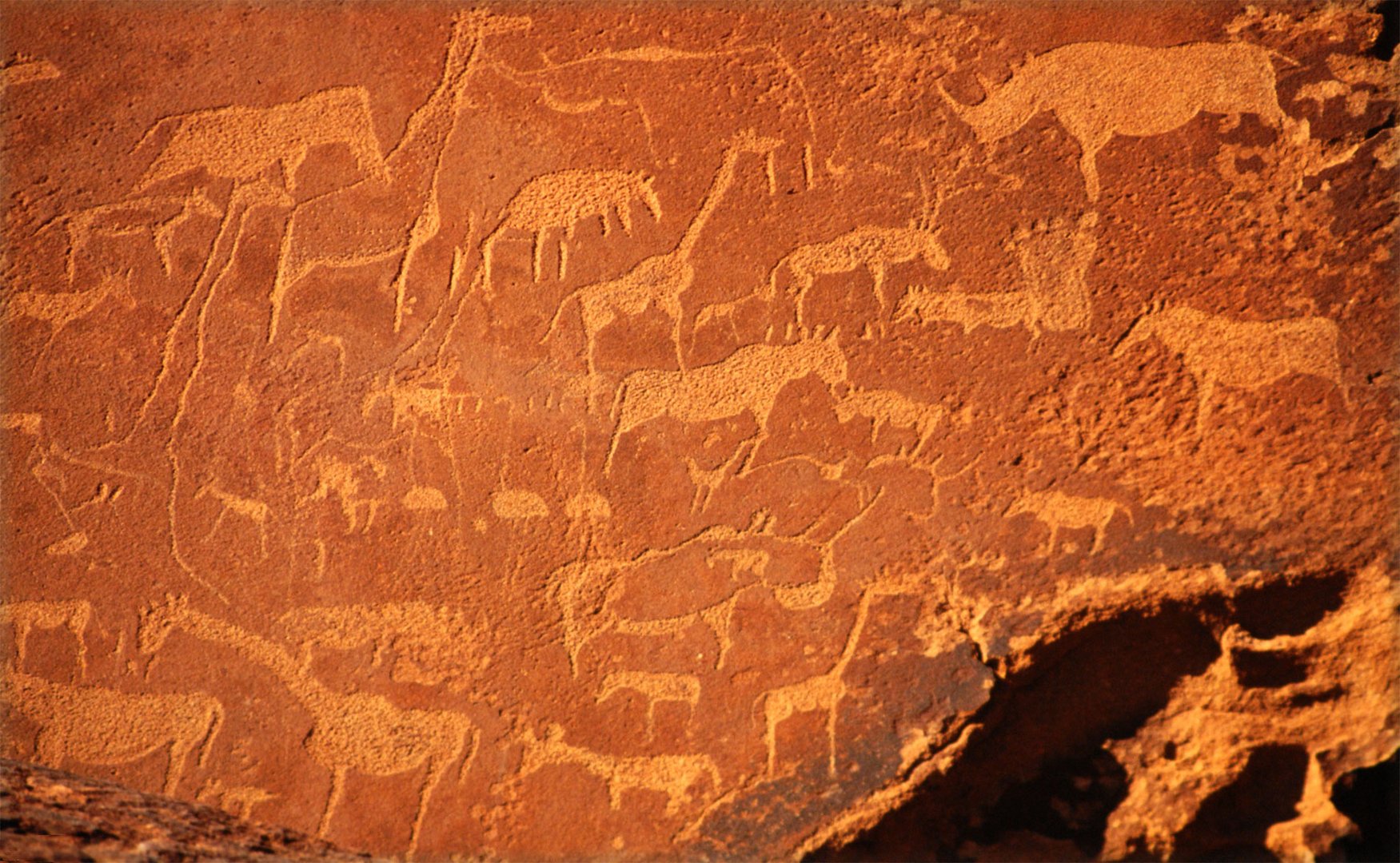 Gravuren bei Twyfelfontein in Namibia