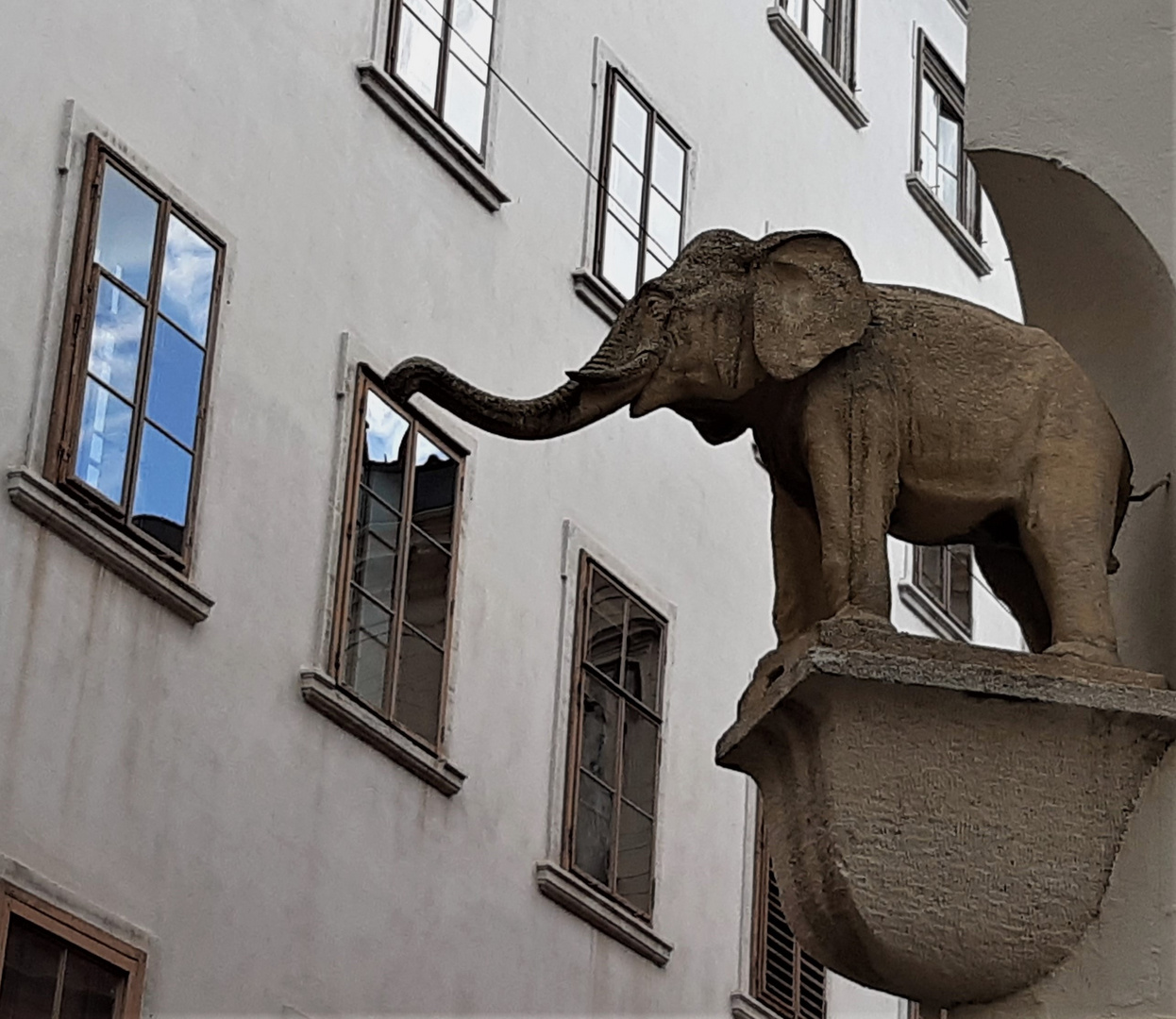 Graz - der Elefant ist los...