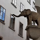 Graz - der Elefant ist los...