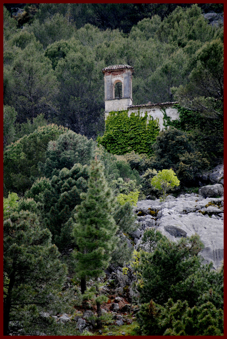 GRAZALEMA (Cádiz)