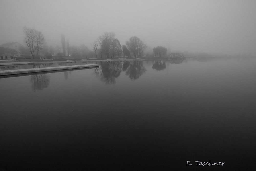 Graz_Mur im Nebel_001