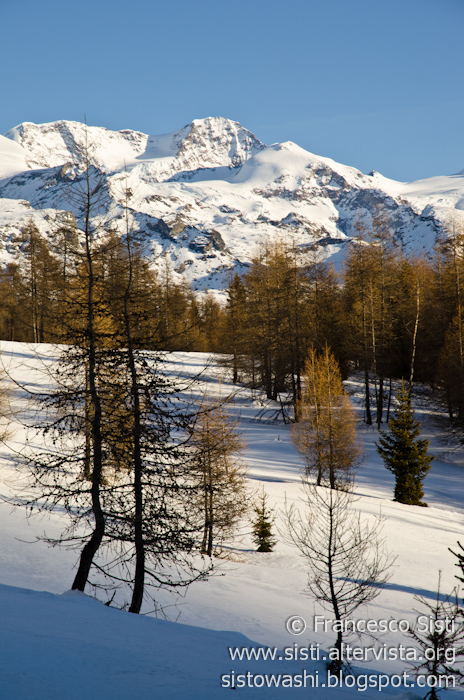 Grâce à la lumière du matin... (Val d'Ayas, Valle d'Aosta - Vallée d'Aoste)