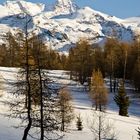 Grâce à la lumière du matin... (Val d'Ayas, Valle d'Aosta - Vallée d'Aoste)