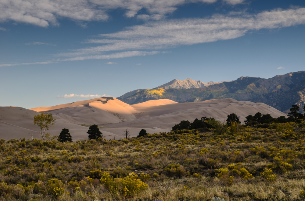 Gread Sand Dunes N.P.