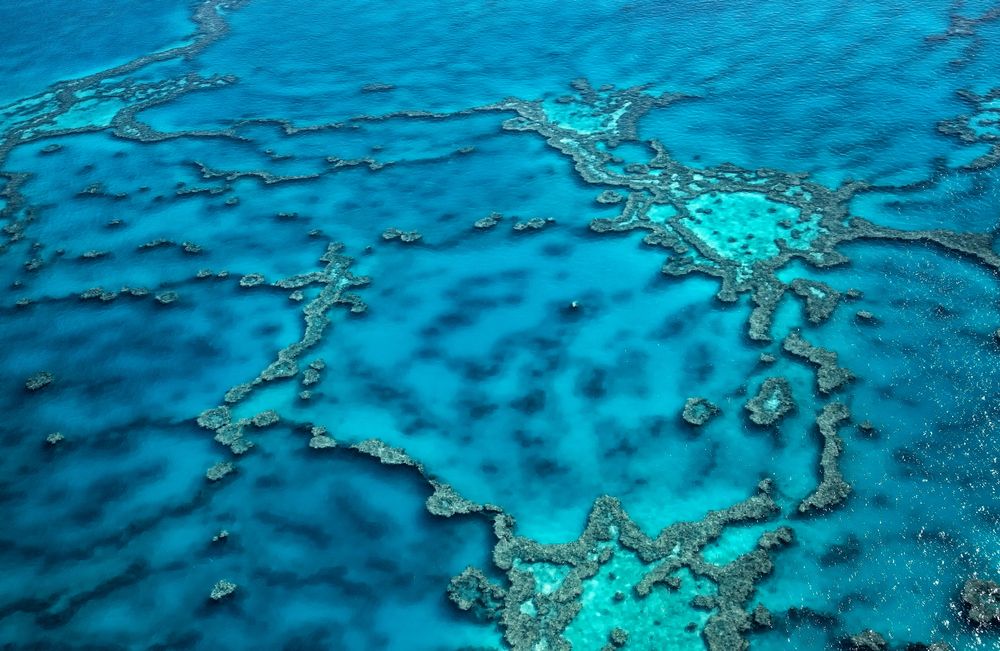 Great Barrier Reef...