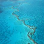 Great Barrier Reef 1